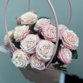 Миниатюра 5