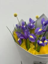 Миниатюра 4