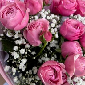 Миниатюра 4