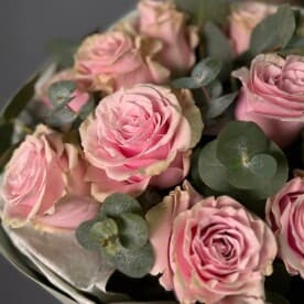 Миниатюра 3