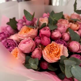 Миниатюра 5