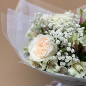 Миниатюра 2