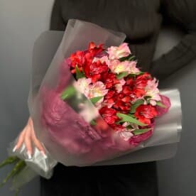 Миниатюра 5