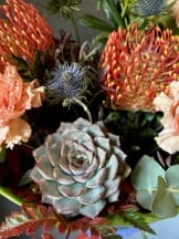 Миниатюра 6