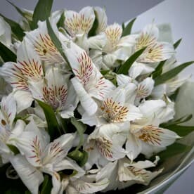 Миниатюра 5