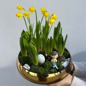 Миниатюра 1