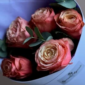 Миниатюра 4