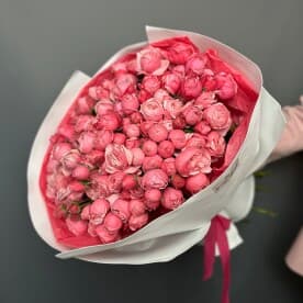 Миниатюра 6