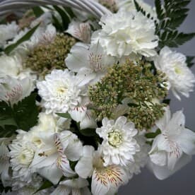 Миниатюра 6