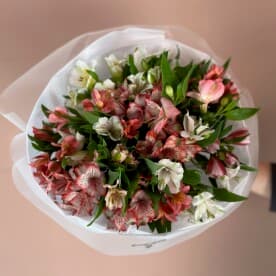 Миниатюра 5