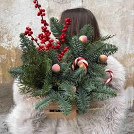 Миниатюра 1