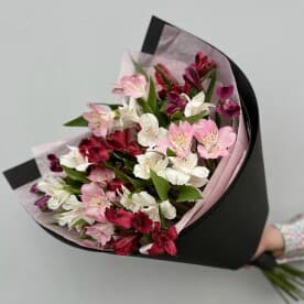 Миниатюра 4