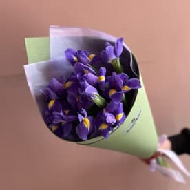 Миниатюра 4