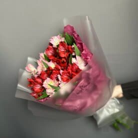 Миниатюра 3