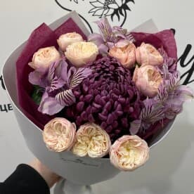 Миниатюра 1