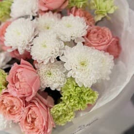 Миниатюра 2