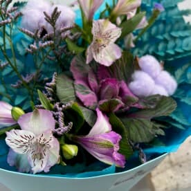 Миниатюра 5