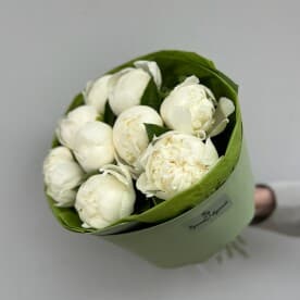 Миниатюра 6