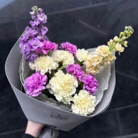 Миниатюра 1