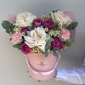 Миниатюра 2