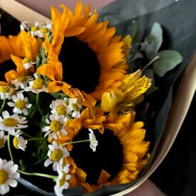 Миниатюра 5