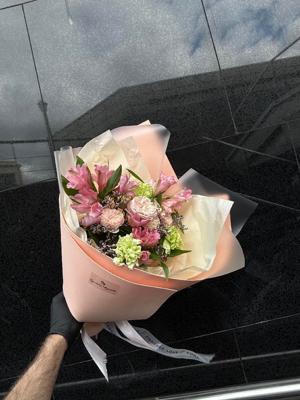 Стелла  ПИК