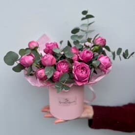 Миниатюра 5