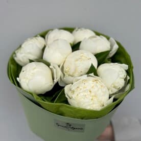 Миниатюра 3