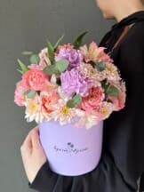 Миниатюра 1