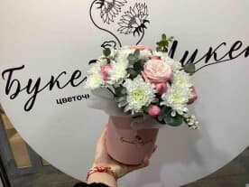 Миниатюра 1