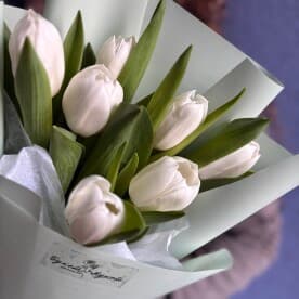 Миниатюра 4