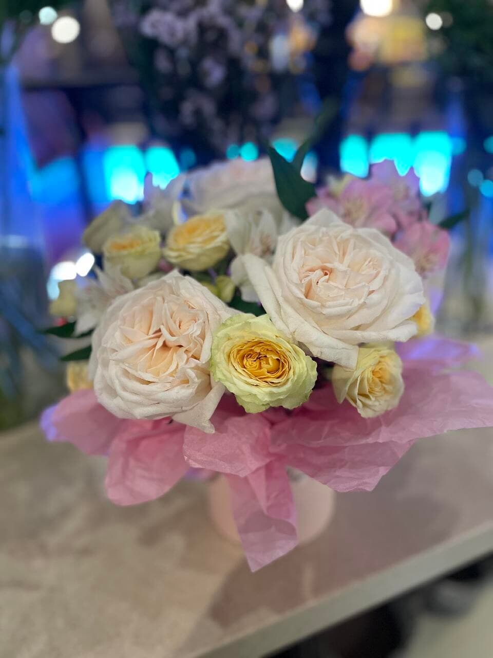 Композиция 730, изображение 1