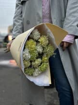 Миниатюра 6