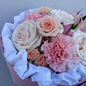 Миниатюра 5