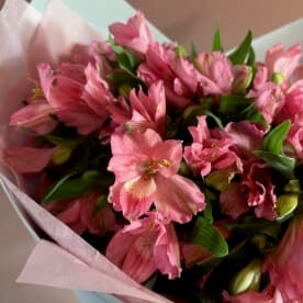 Миниатюра 3