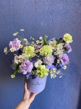 Миниатюра 1