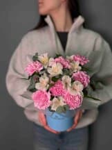 Миниатюра 1