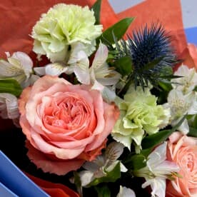 Миниатюра 4