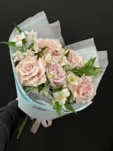 Миниатюра 1