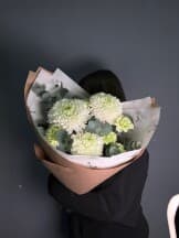 Миниатюра 1