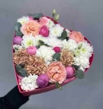 Миниатюра 1