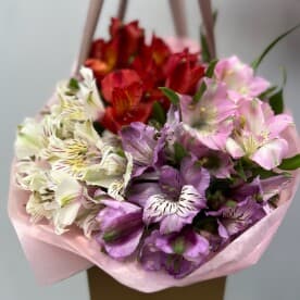 Миниатюра 2