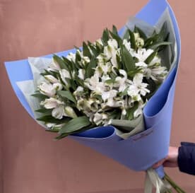 Миниатюра 3