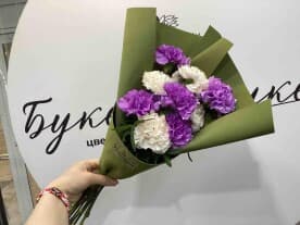 Миниатюра 1