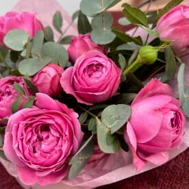 Миниатюра 4