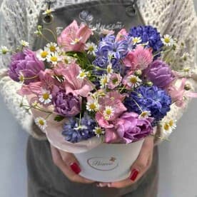 Миниатюра 1