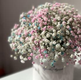 Миниатюра 5