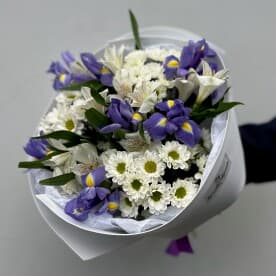 Миниатюра 5