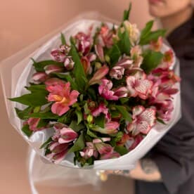 Миниатюра 4