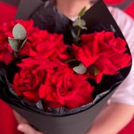 Миниатюра 7